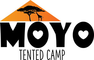 MOYO Tented Camp