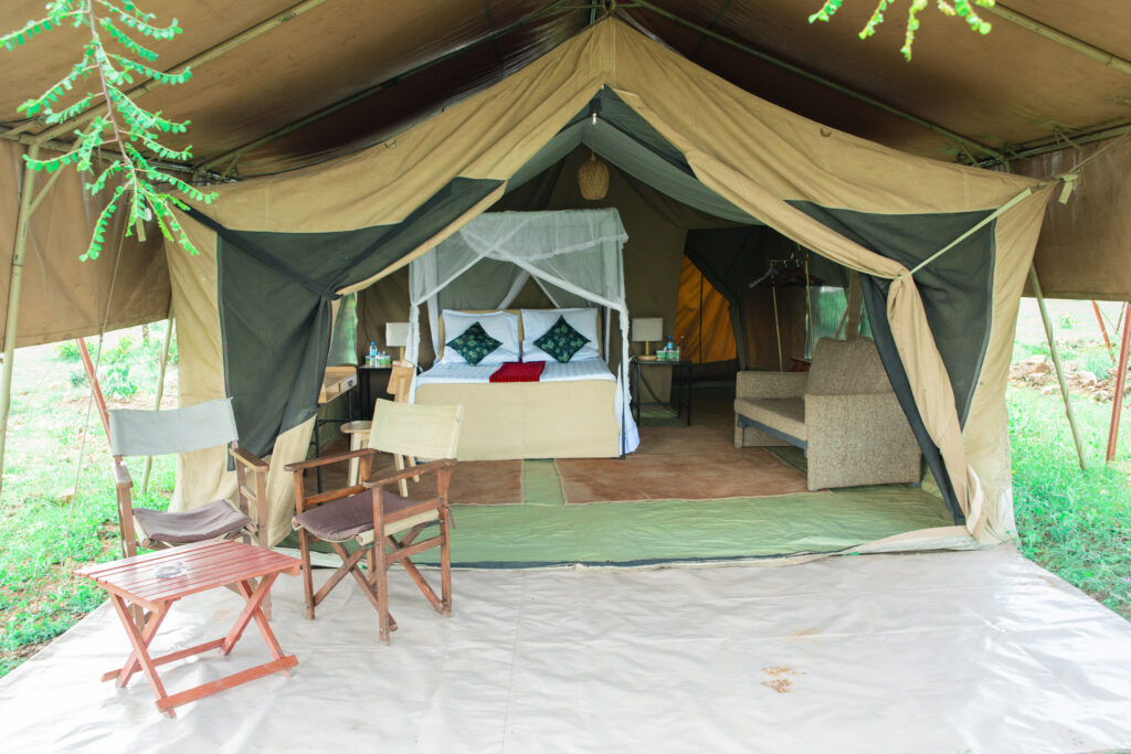 Safari tent interior with raised platform and modern amenities