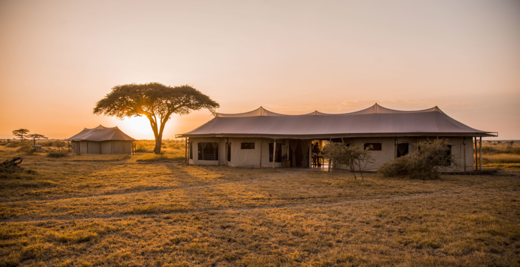 Safari tent at sunset